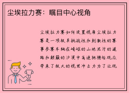 尘埃拉力赛：瞩目中心视角